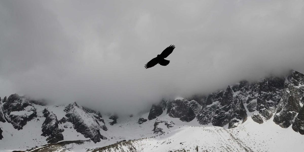 A bird of prey gliding over mountains — capable AI now running entirely on your own hardware